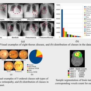 Deep Learning for Analysis of Imbalanced Medical Image Datasets