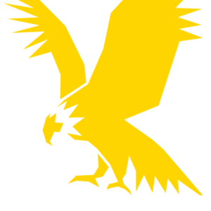 RapidML