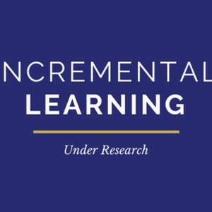 Incremental Learning