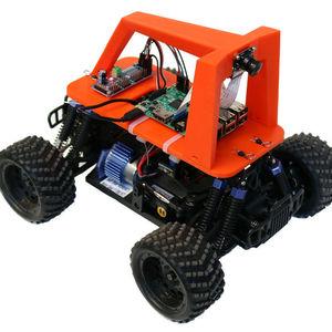 Mini donkey car graphic orig