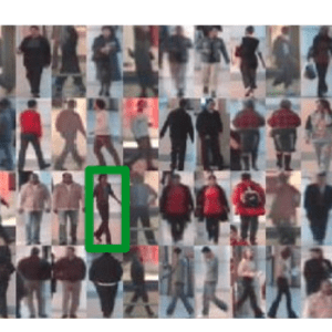 Incremental Learning in Person Re-Identification
