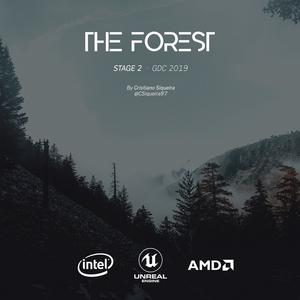 THE FOREST - Stage 2