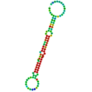 Mirnome Characterization through Machine Learning