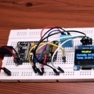 Portable Weather station and plotting realtime data
