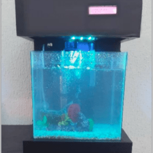 Eko System : ANOTHER WAY TO PRESERVE LIFE