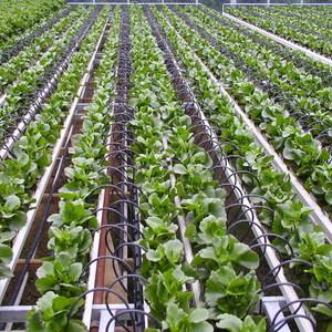 ISF - Irrigation System for Farmers