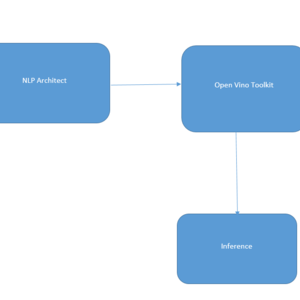 NLP Architect with Open Vino