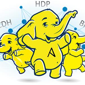 Automation of Hadoop Hdfs  through Ansible