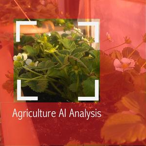 Agriculture AI Analysis