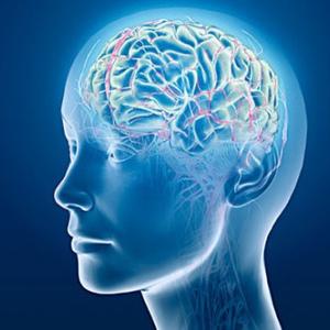 Treatise of Medical Image Processing (TMIP)