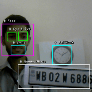 Controlled Object Recognition