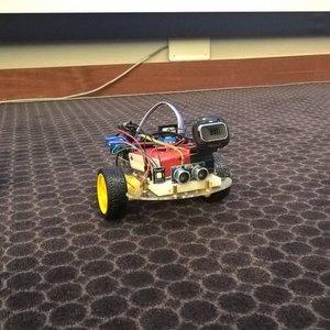 Indipendent or remote controlled Rover