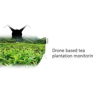 Detection of health of tea-plantation using autonomous drones