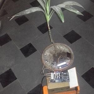 Intel Edison powered IoT home plant monitoring and water control system