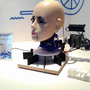 Head Robot