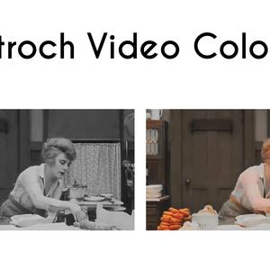 Video Coloriser