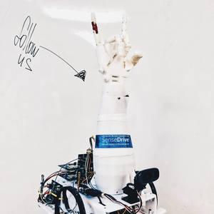 Robot-avatar SenseDrive - symbiosis of human, mechatronics and virtual reality!