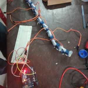 Robotic Snake