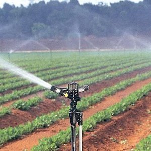 Automated Irrigation system using Arduino