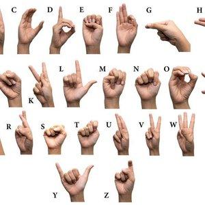 Vocalize Sign Language