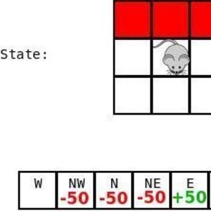 Biological Reinforcement Learning