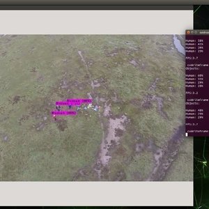 Real-time Pedestrian Detection in Drone Video