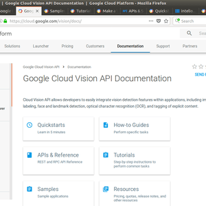 Image Analysis using Cloud Vision API