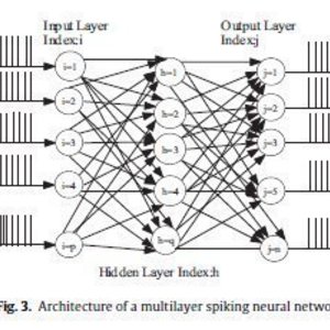 Do Spiking Neural Networks have an influence on feature extraction? 