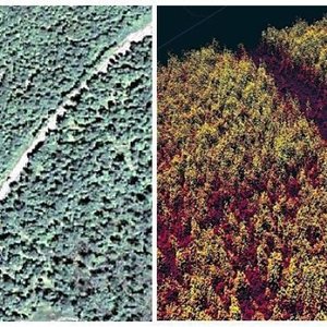 Deep learning based Generation of 3D environment using Earth observation Data