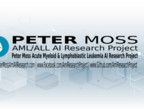 Research Project Website