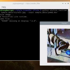 Running real-time style trasnfer on a Raspberry Pi (4B-1GB)