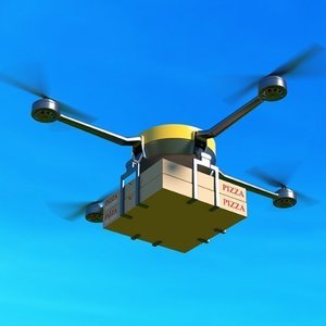 Autonomous Delivery Drones in Disaster Zones