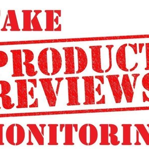 Fake Product Review Monitoring System