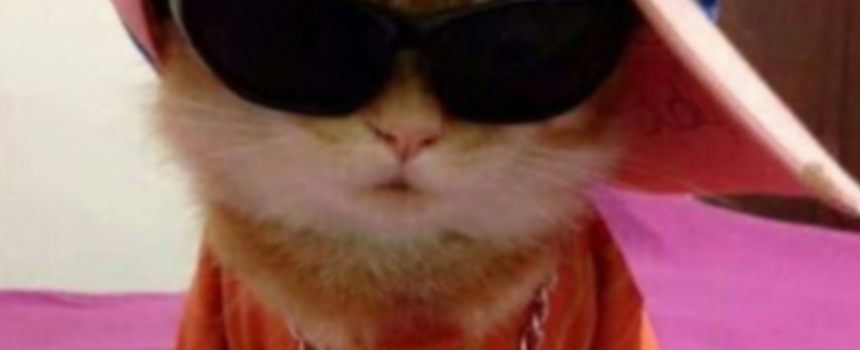Swag,  DevMesh and Self Report