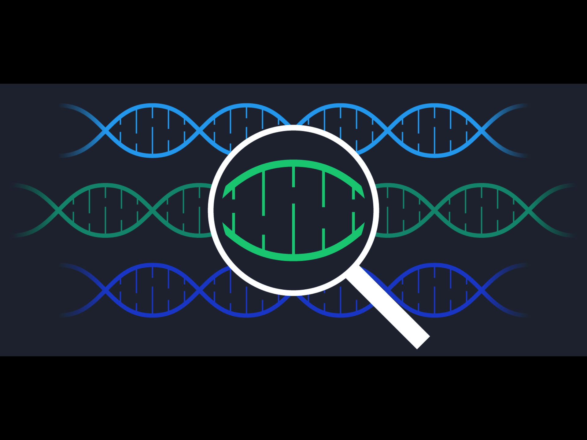 What is Genetic Algorithm & how is it useful