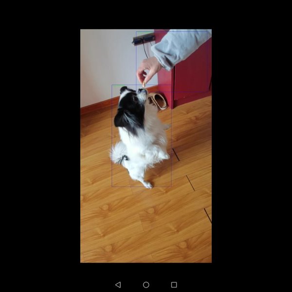  基于Faster RCNN和OneAPI的目标识别项目