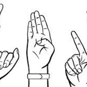 Automatic Sign Language Detection