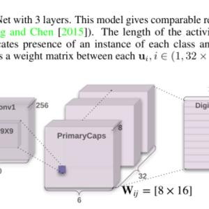 Capsule Networks