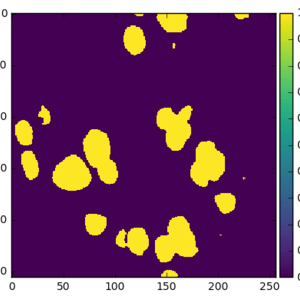 Image segmentation using deep-neural networks