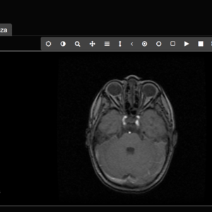 BioRisVR