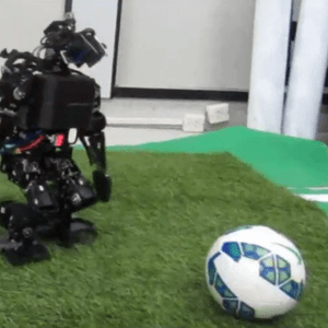 Object detector for a soccer player Humanoid Robot using Deep-learning