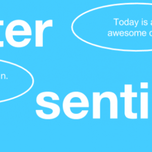 Mini twitter title 900x300