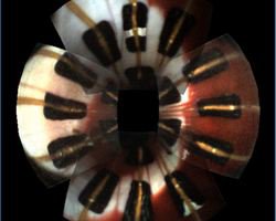 Medium d1fbce17 3d51 45ee 9ec4 ca5afff1fabd