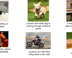 Medium a0832f2e 27f9 4e2f b997 a923da020ec9