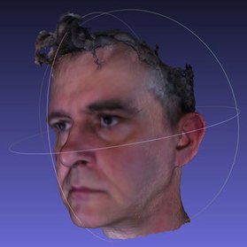 Big bob duffy 3d head avatar