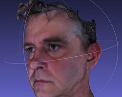 Medium bob duffy 3d head avatar