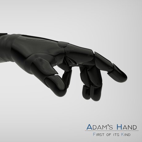 Adam's Hand