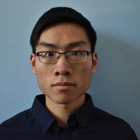 Vincent Nguyen